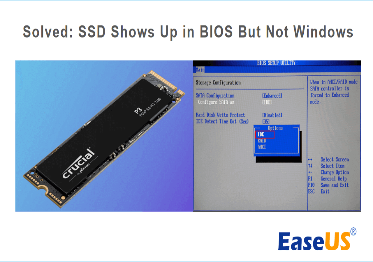 SSD Detected in BIOS but Not in Windows: Troubleshooting and Fixes