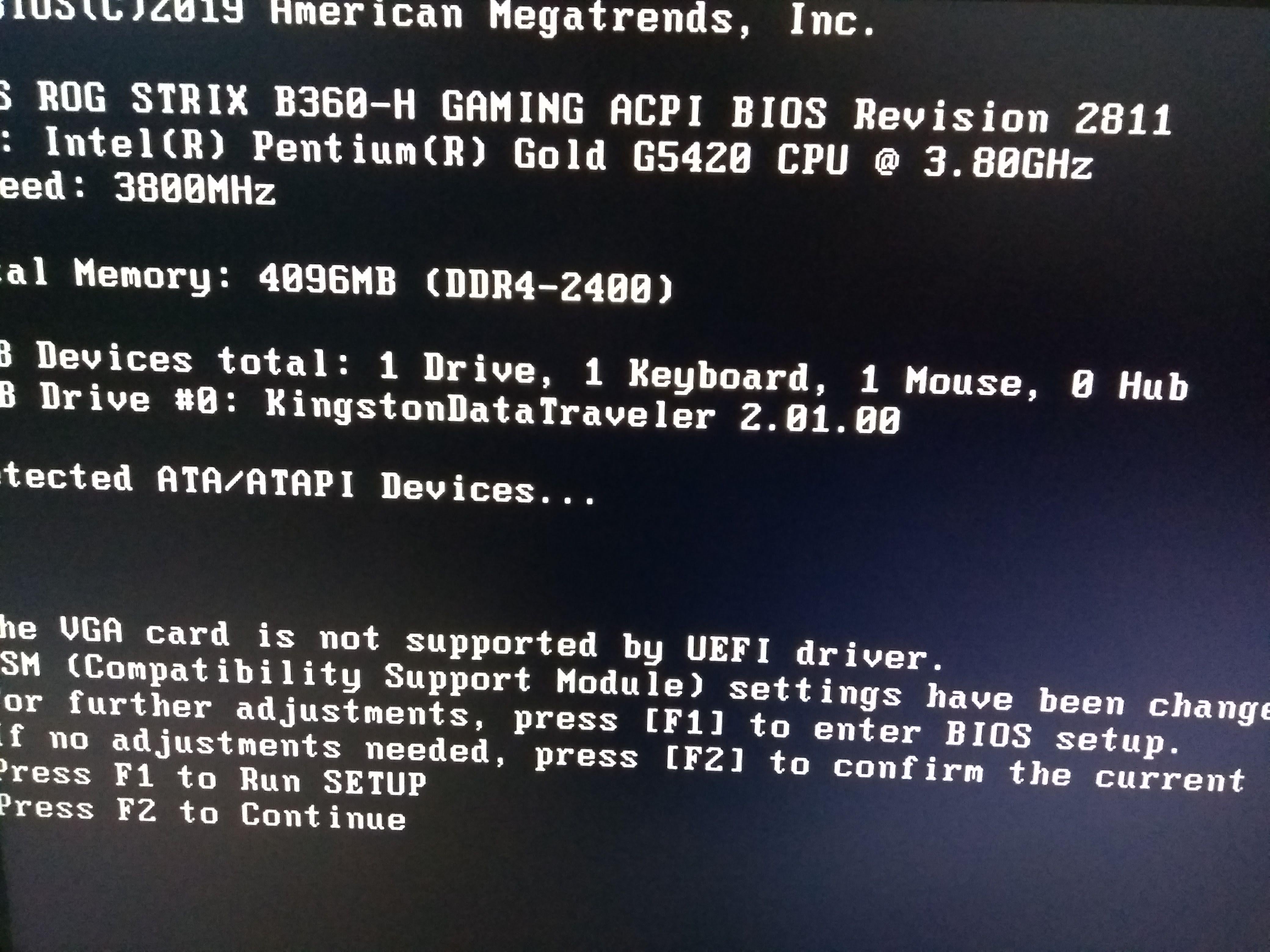 load vga bios