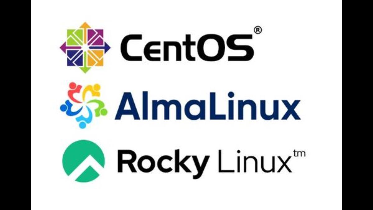 AlmaLinux vs CentOS: Key Differences You Need to Know