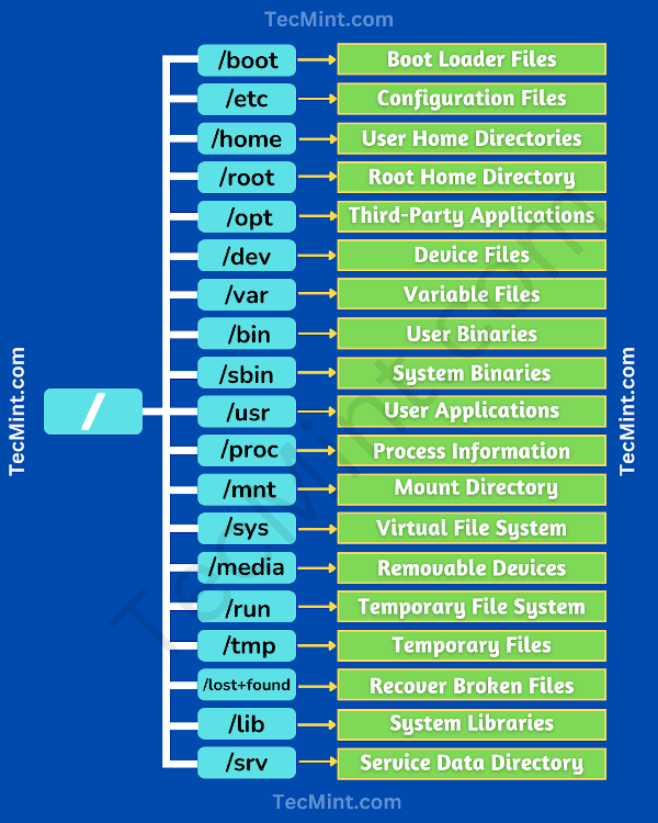 Efficiently List Only Directories in Linux: A Complete Guide