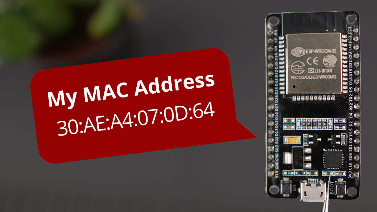 Retrieve ESP8266 MAC Address Using Node.js