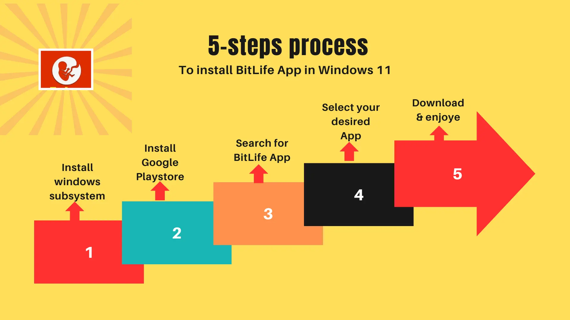 Step-by-step Guide:  Playing BitLife on a Mac Device