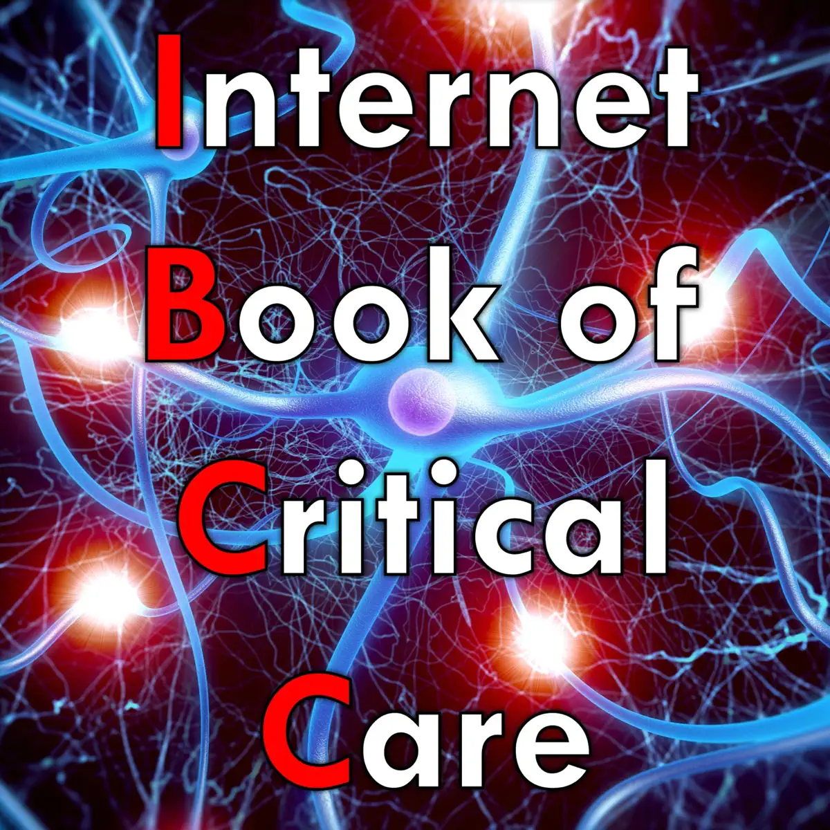 What You Need to Know About the Internet Book of Critical Care