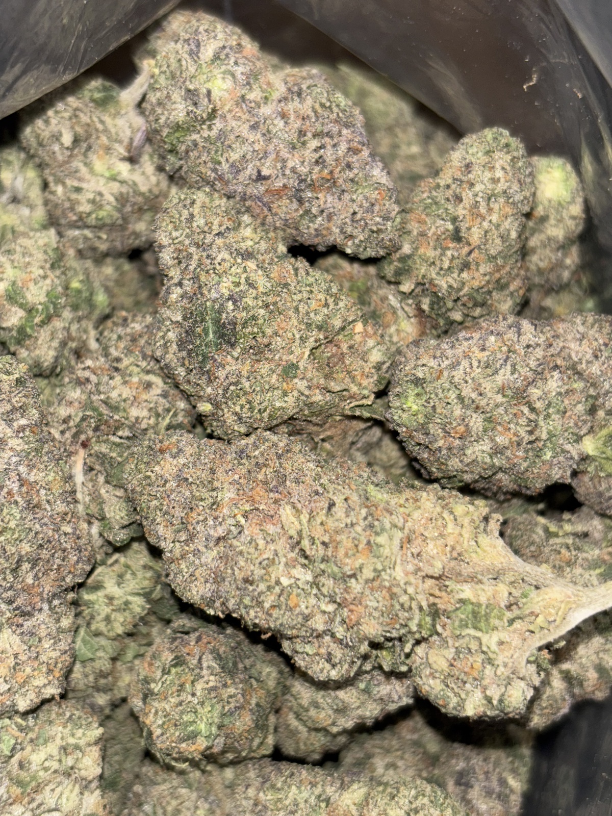 Mac Stomper Strain: The Ultimate Guide for Beginners