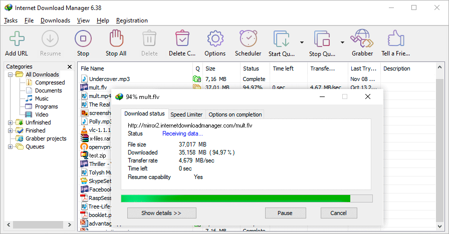 Internet Download Manager Full Crack: Easy Download Guide! (Avoid The Risks!)