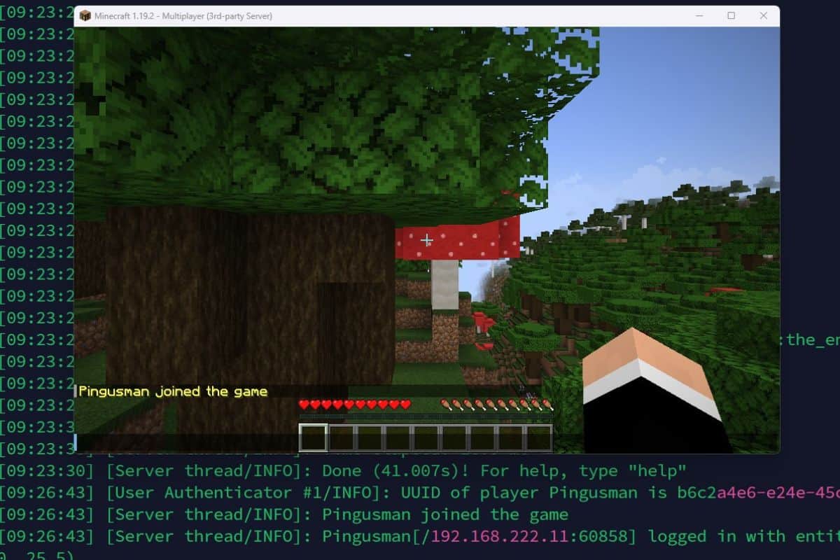 Easy Firewall Tweaks: Allow Linux Players on Your Minecraft Server